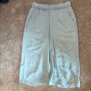 Carve Designs Light blue Cropped Pants